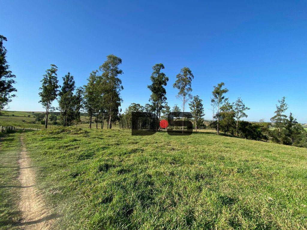 Sítio à venda, 300000M2 - Foto 10