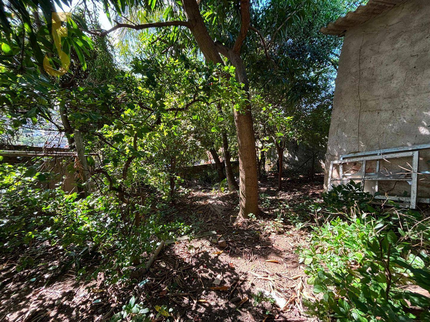 Terreno à venda, 375M2 - Foto 8