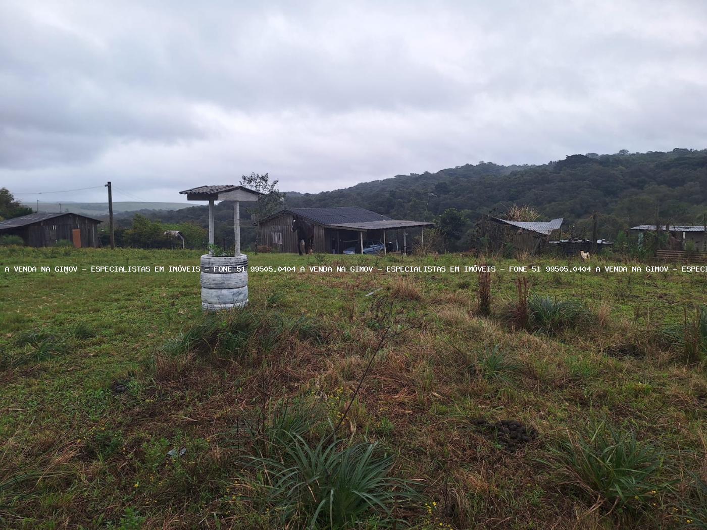 Fazenda à venda, 10000m² - Foto 6