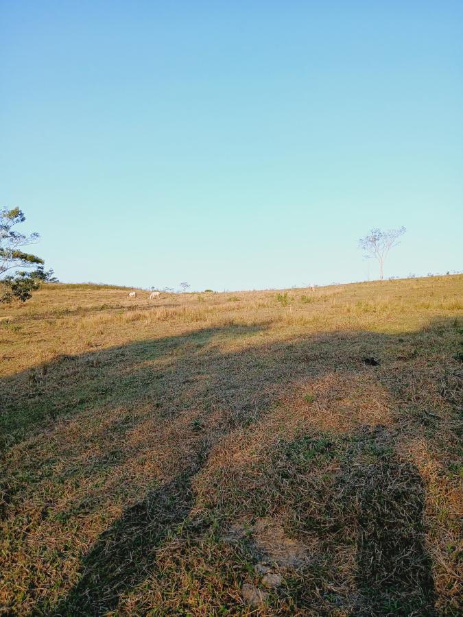 Fazenda à venda com 2 quartos, 146000m² - Foto 15