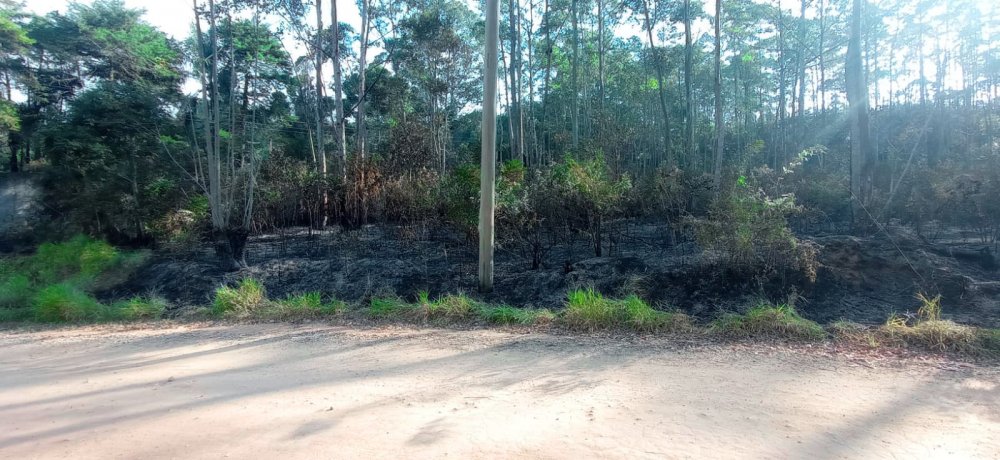 Fazenda à venda, 266200m² - Foto 8