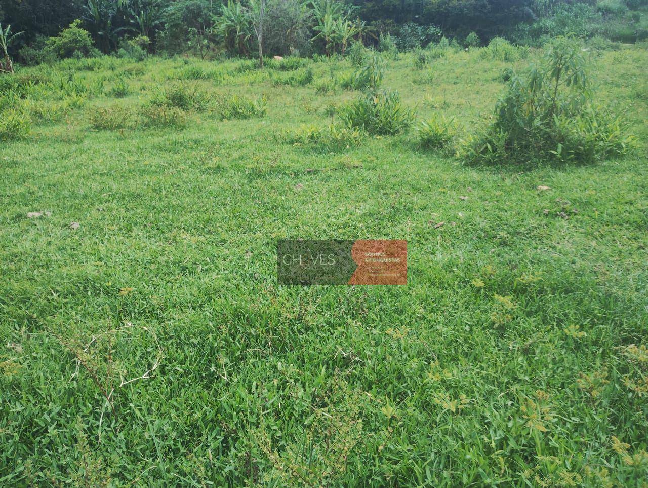 Sítio, 3 quartos, 2 hectares - Foto 4