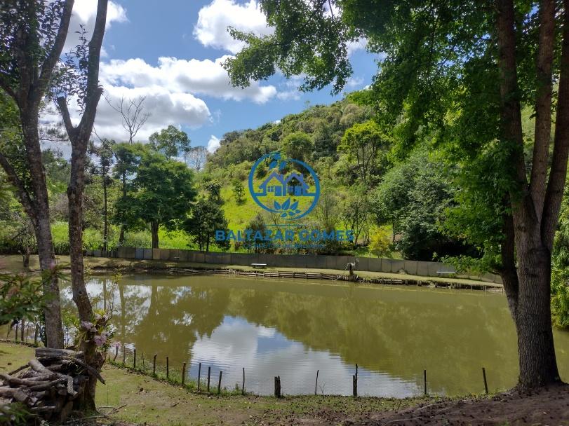 Fazenda à venda com 3 quartos, 58000m² - Foto 19