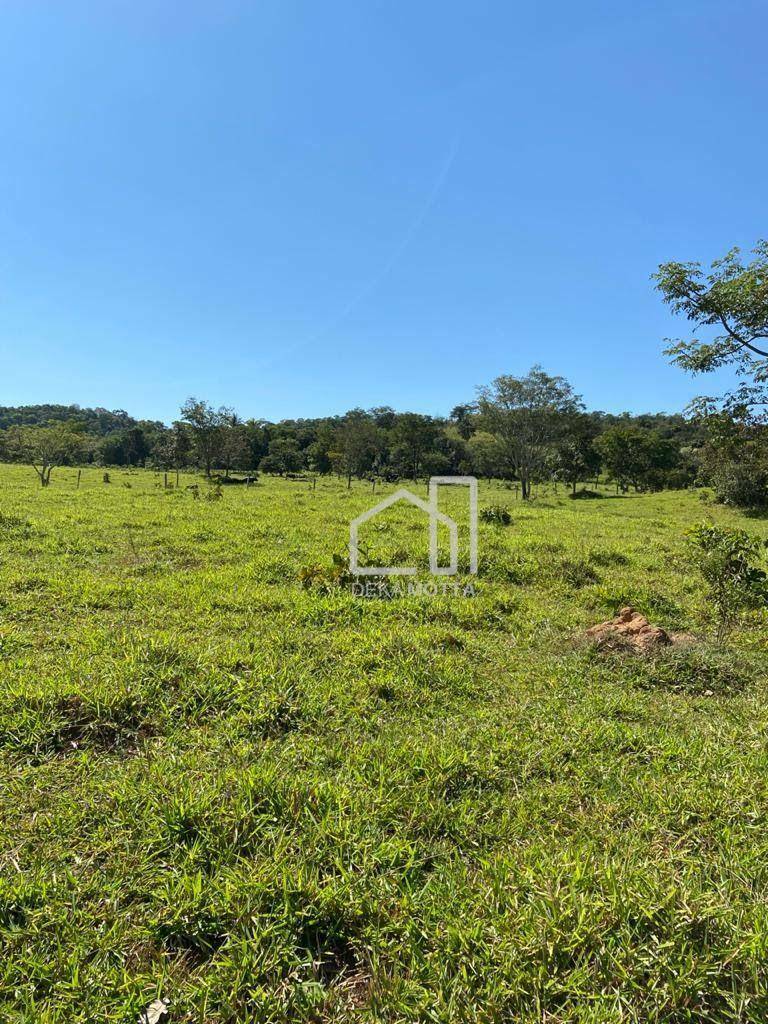 Fazenda à venda com 3 quartos, 21217700000M2 - Foto 31