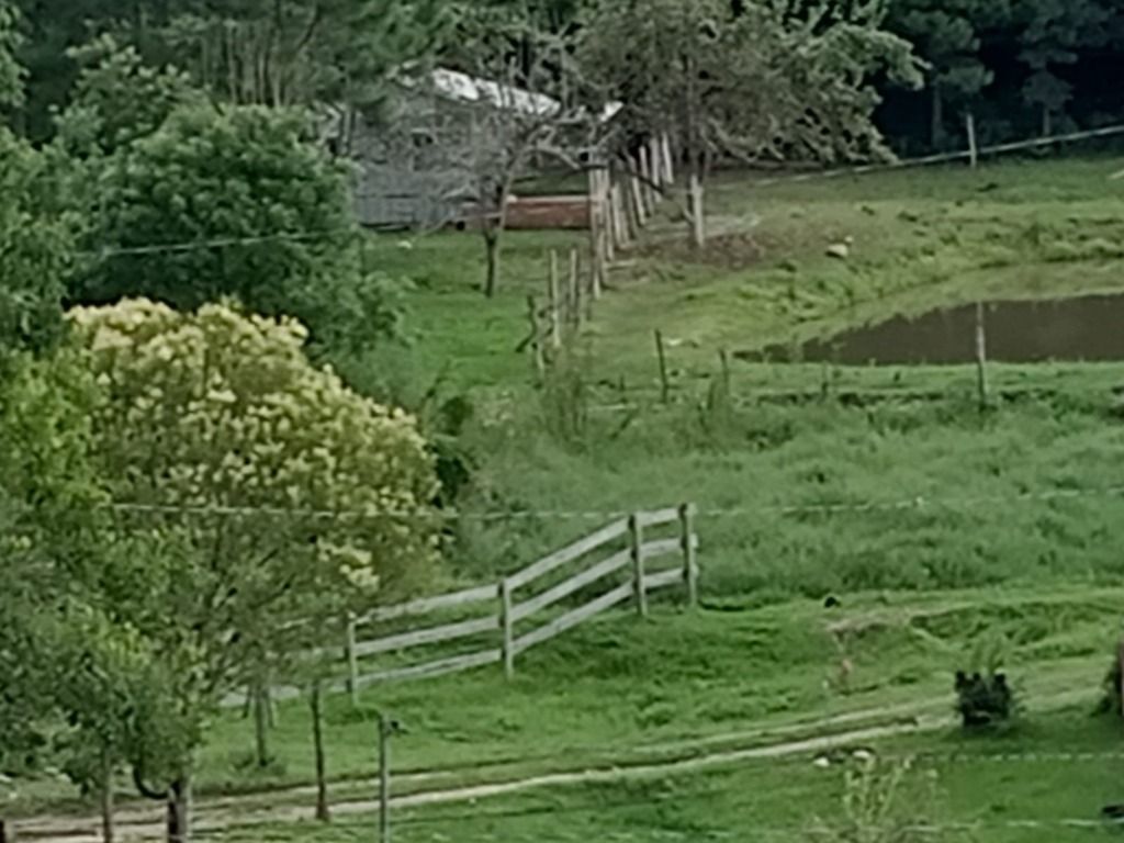 Fazenda-Sítio-Chácara, 2 hectares - Foto 2