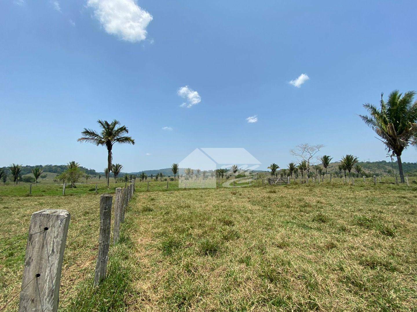 Fazenda à venda com 3 quartos, 2420000M2 - Foto 13