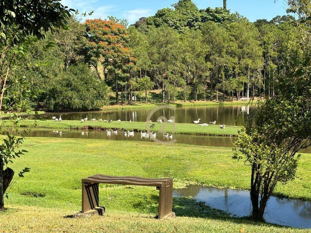 Casa de Condomínio à venda com 12 quartos, 961m² - Foto 36