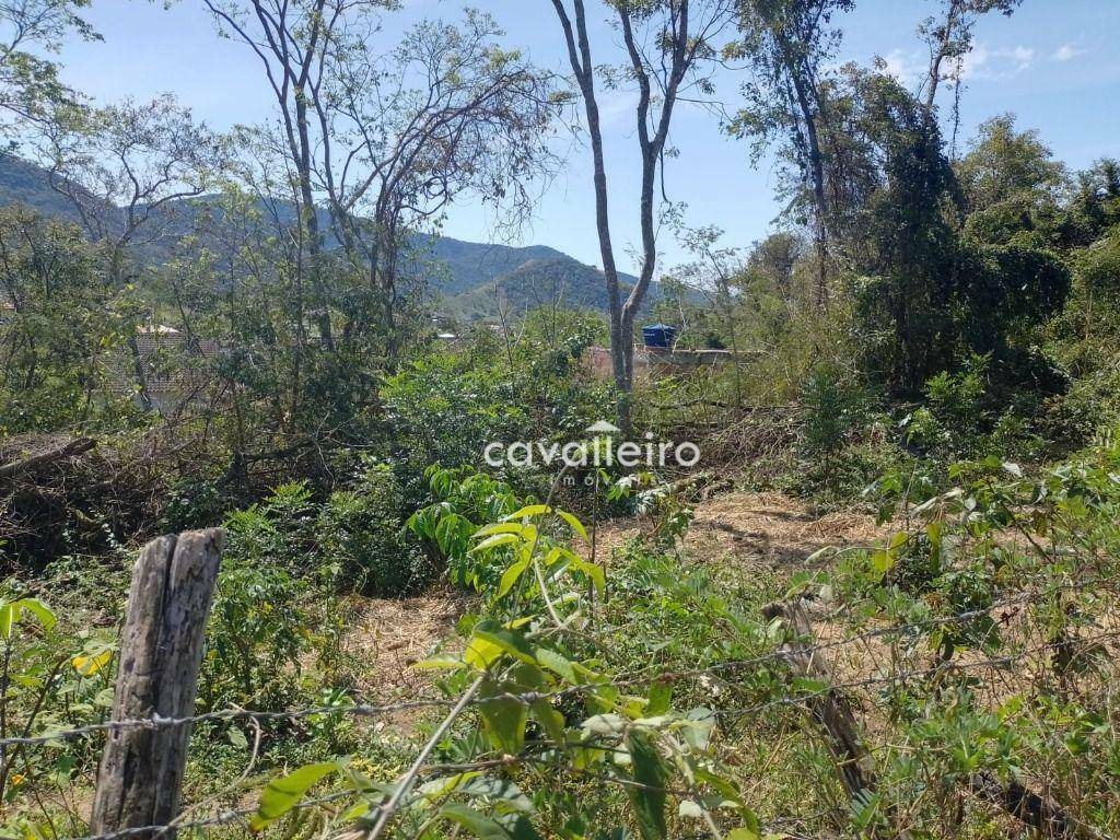 Terreno à venda, 360M2 - Foto 3