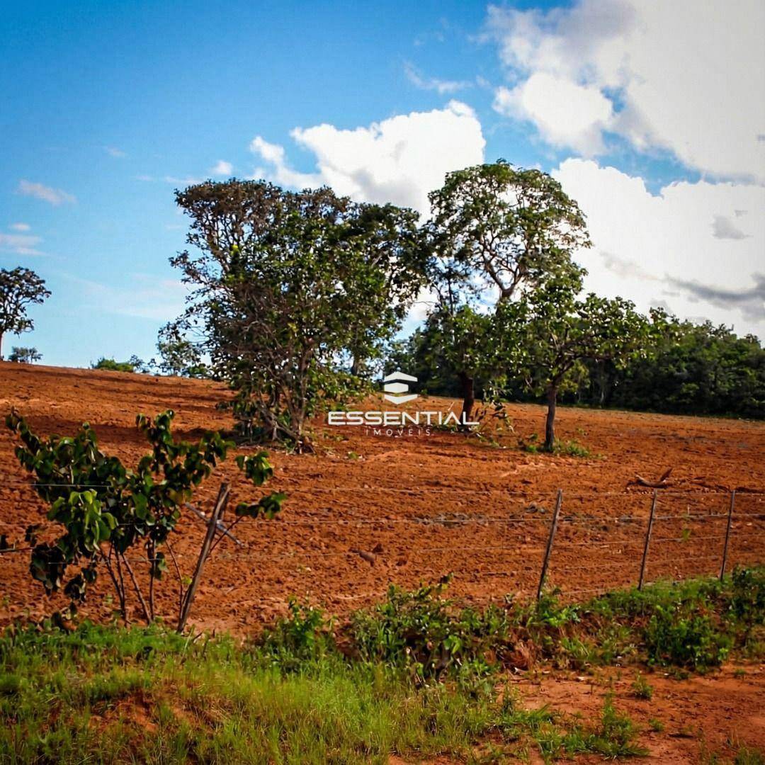 Fazenda, 5800 hectares - Foto 2