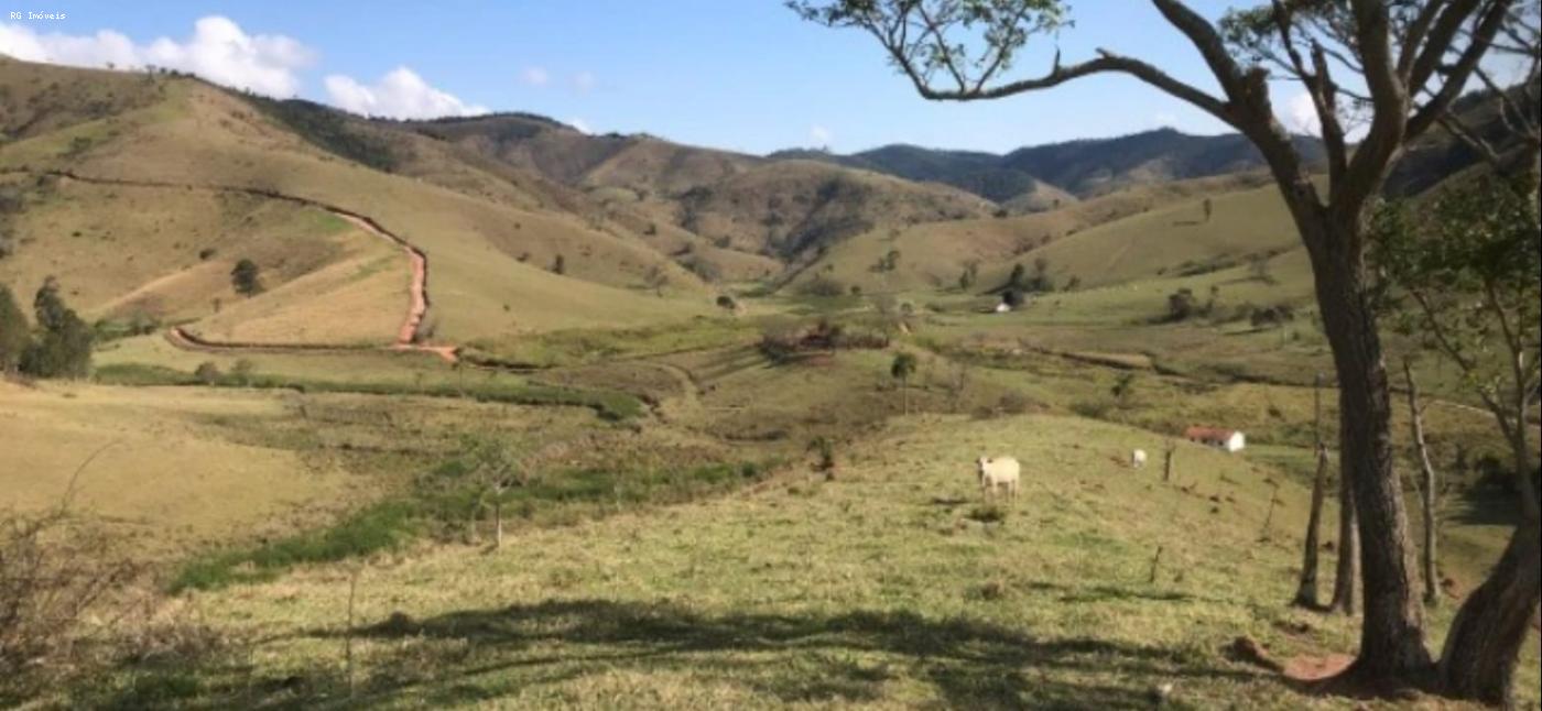 Fazenda à venda com 4 quartos, 2980000m² - Foto 7