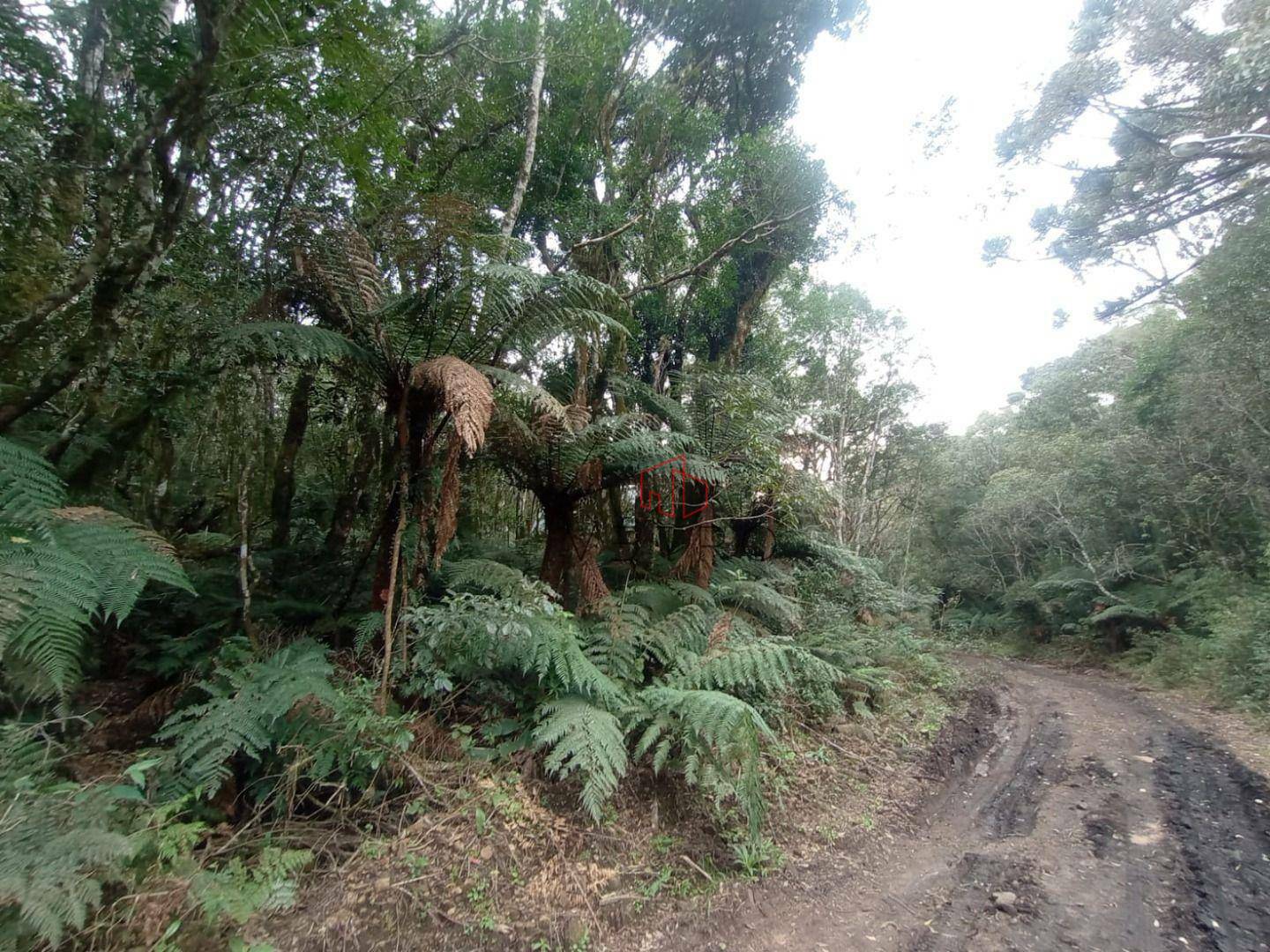 Loteamento e Condomínio à venda, 480M2 - Foto 1