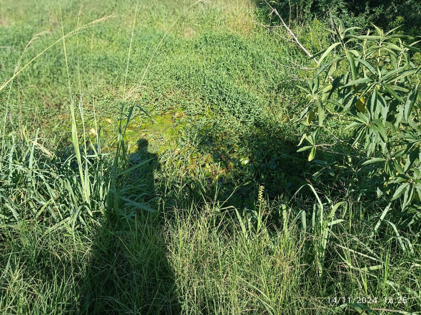 Fazenda à venda, 81160m² - Foto 19