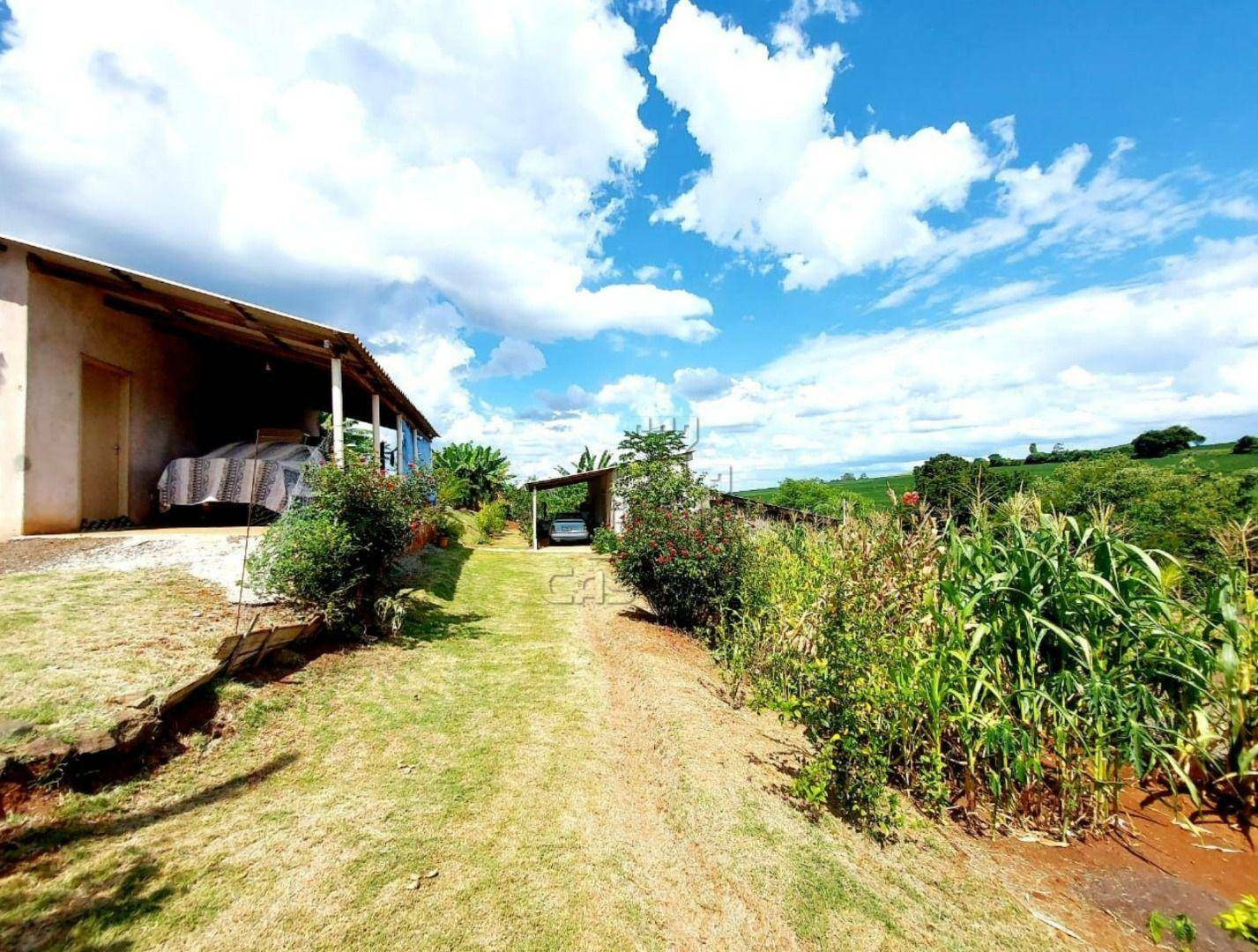 Chácara à venda com 4 quartos, 1000M2 - Foto 5