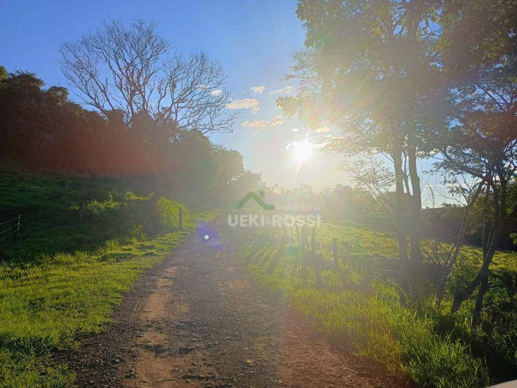 Fazenda, 528 hectares - Foto 2