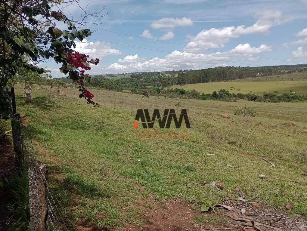 Fazenda à venda com 4 quartos, 820000M2 - Foto 26