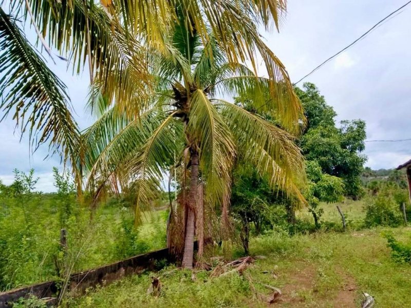 Fazenda à venda, 1613m² - Foto 29