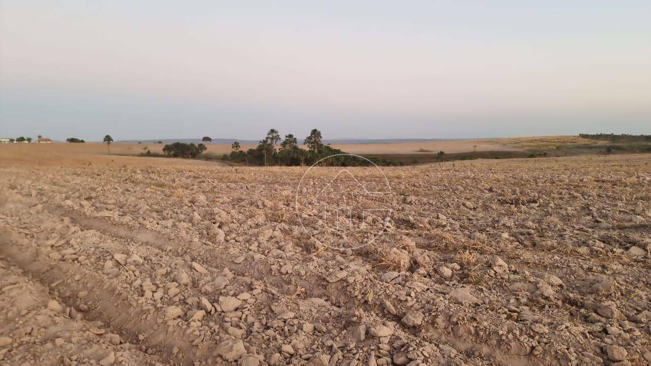 Fazenda à venda, 10800000M2 - Foto 3