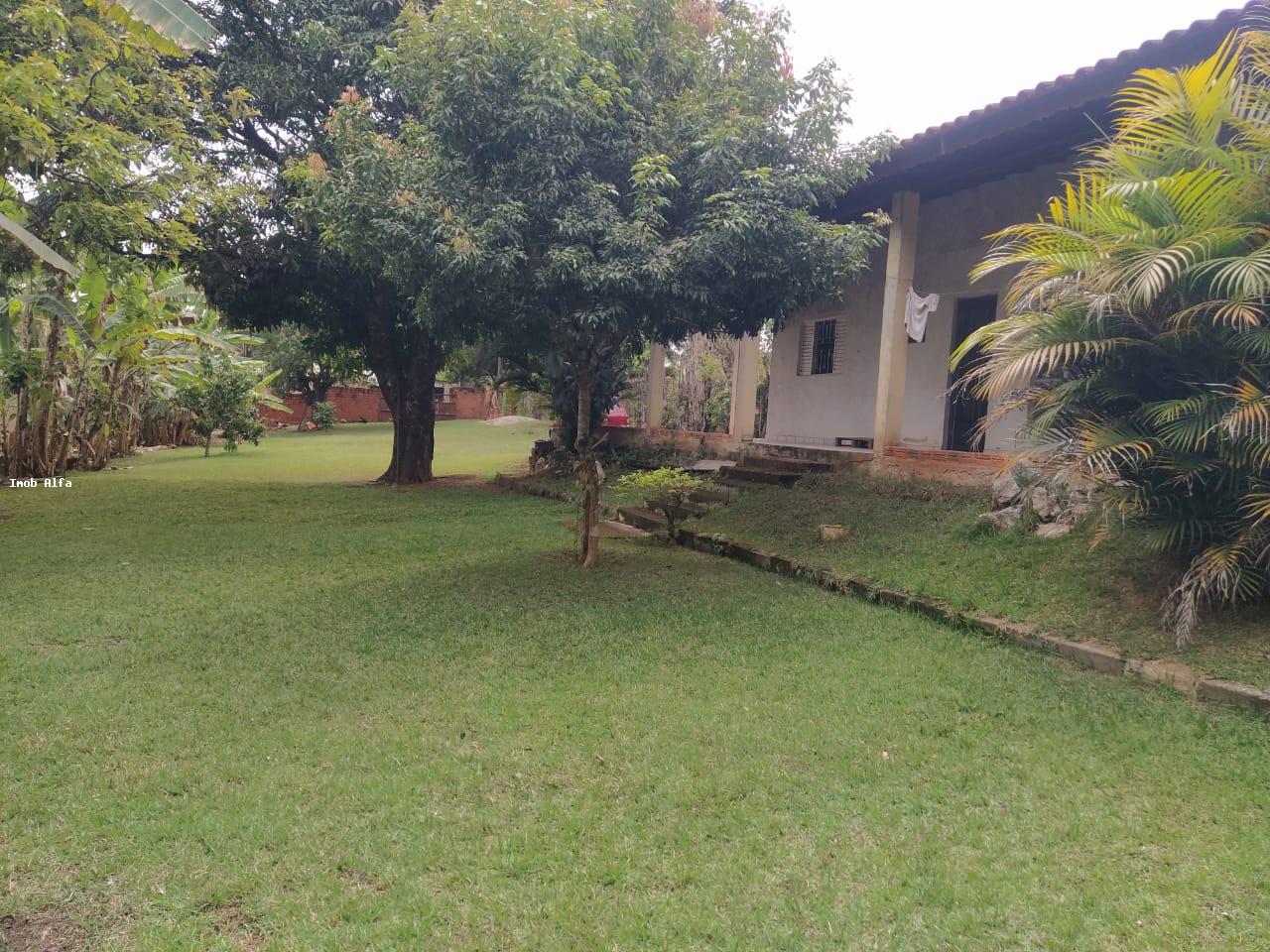 Fazenda à venda com 1 quarto, 1000m² - Foto 7