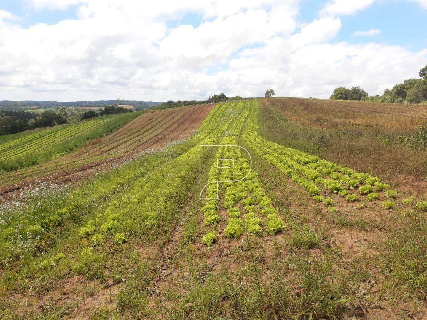 Terreno à venda, 39000M2 - Foto 28