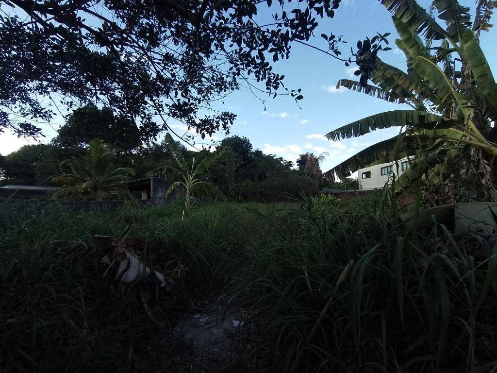 Terreno, 1000 m² - Foto 7