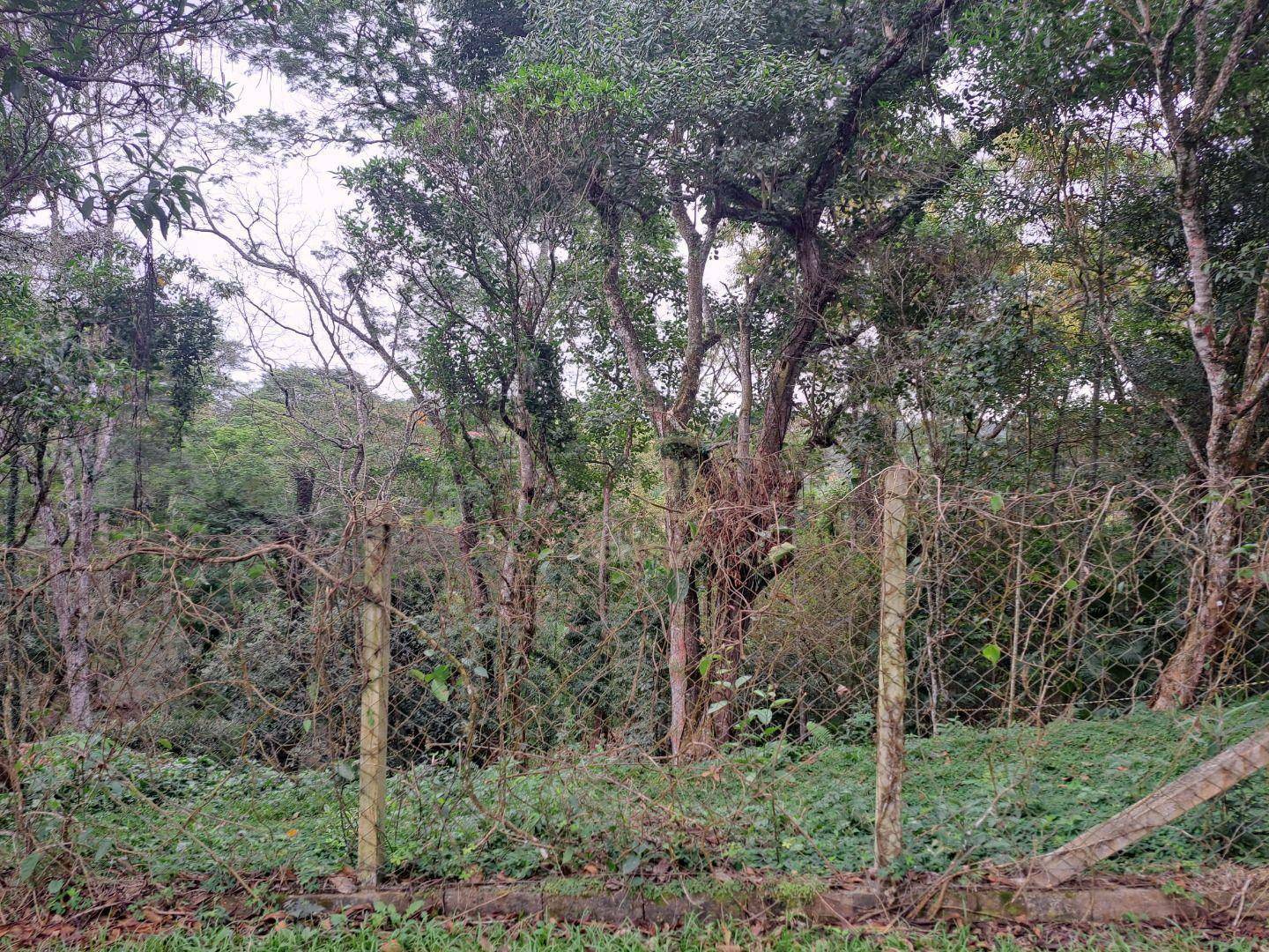 Loteamento e Condomínio à venda, 1030M2 - Foto 6