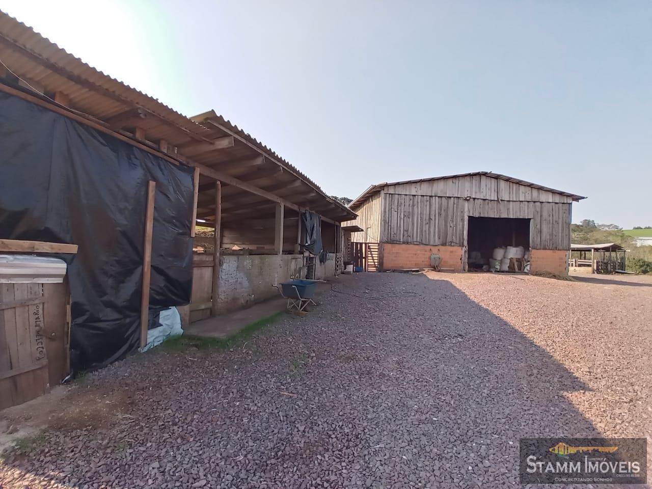 Fazenda à venda com 4 quartos, 3m² - Foto 22