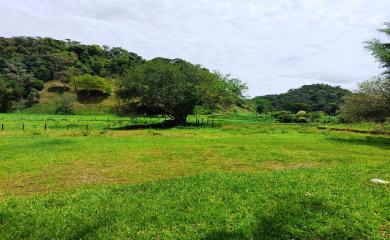 Sítio à venda com 3 quartos, 17000m² - Foto 19