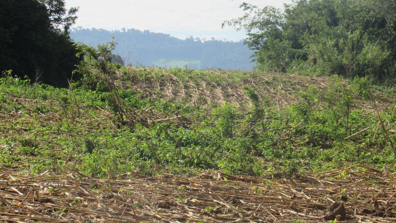 Loteamento e Condomínio à venda, 199000m² - Foto 2