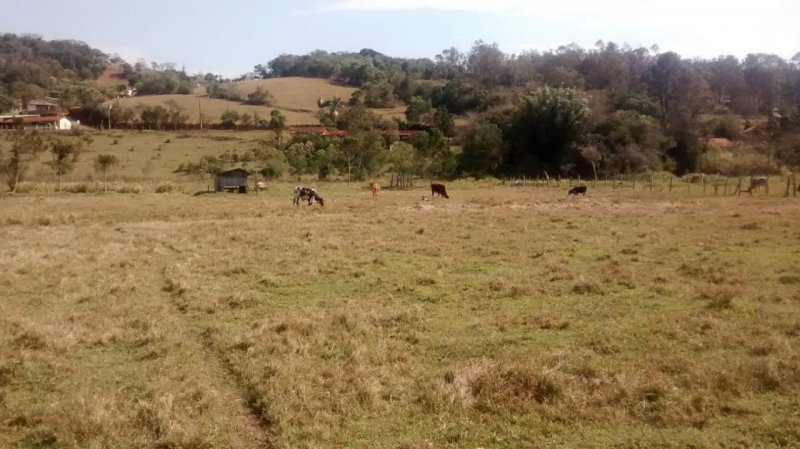 Fazenda à venda com 3 quartos, 50m² - Foto 4