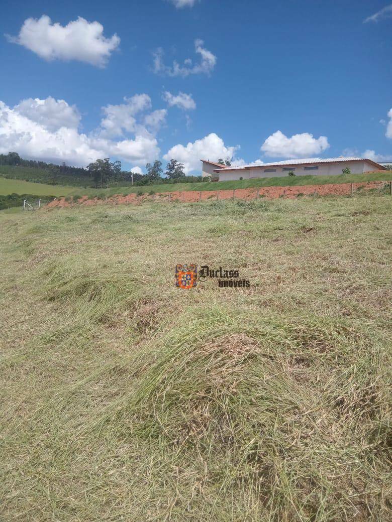 Terreno à venda, 2153M2 - Foto 8