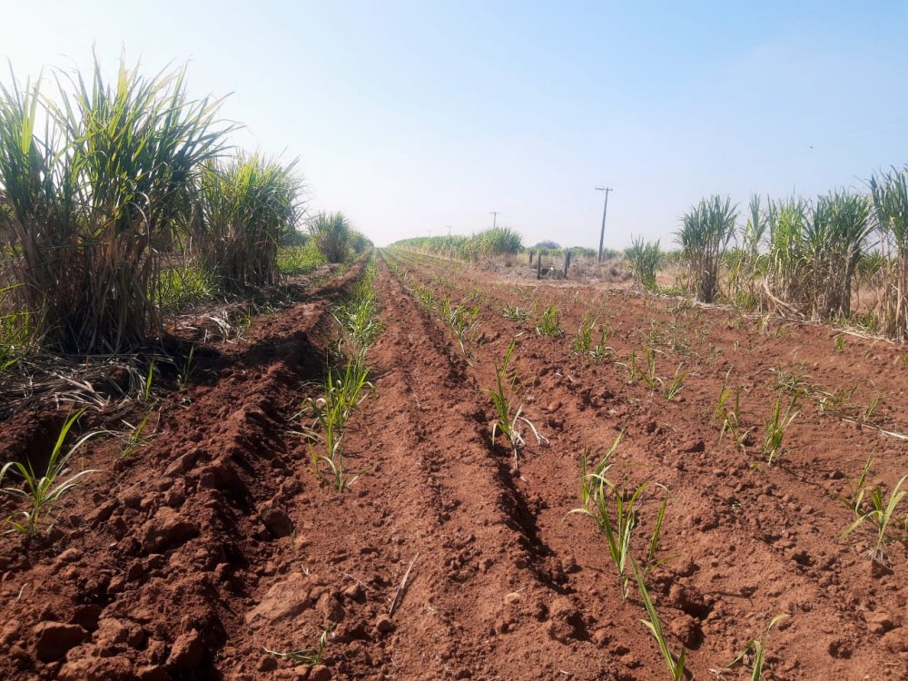 Fazenda à venda, 2600m² - Foto 5