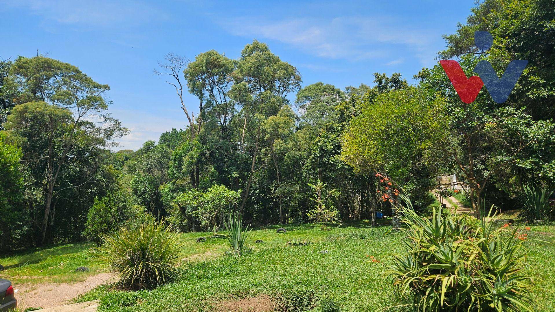 Chácara à venda com 3 quartos, 22454M2 - Foto 46