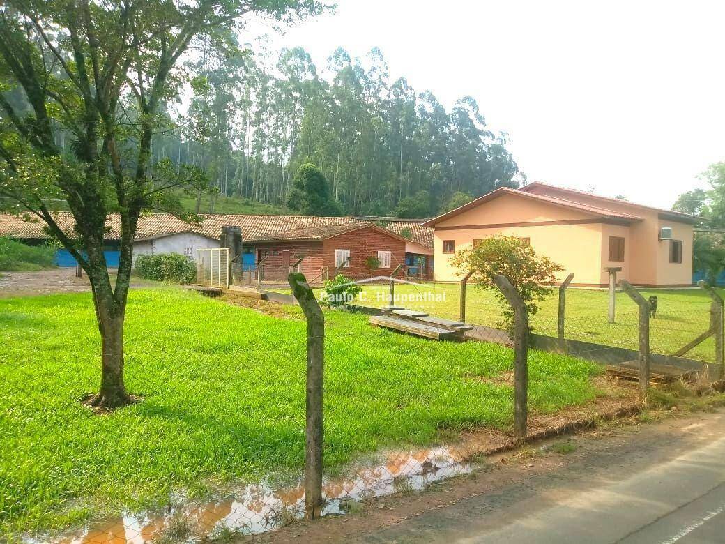Sítio à venda com 4 quartos, 15000M2 - Foto 6