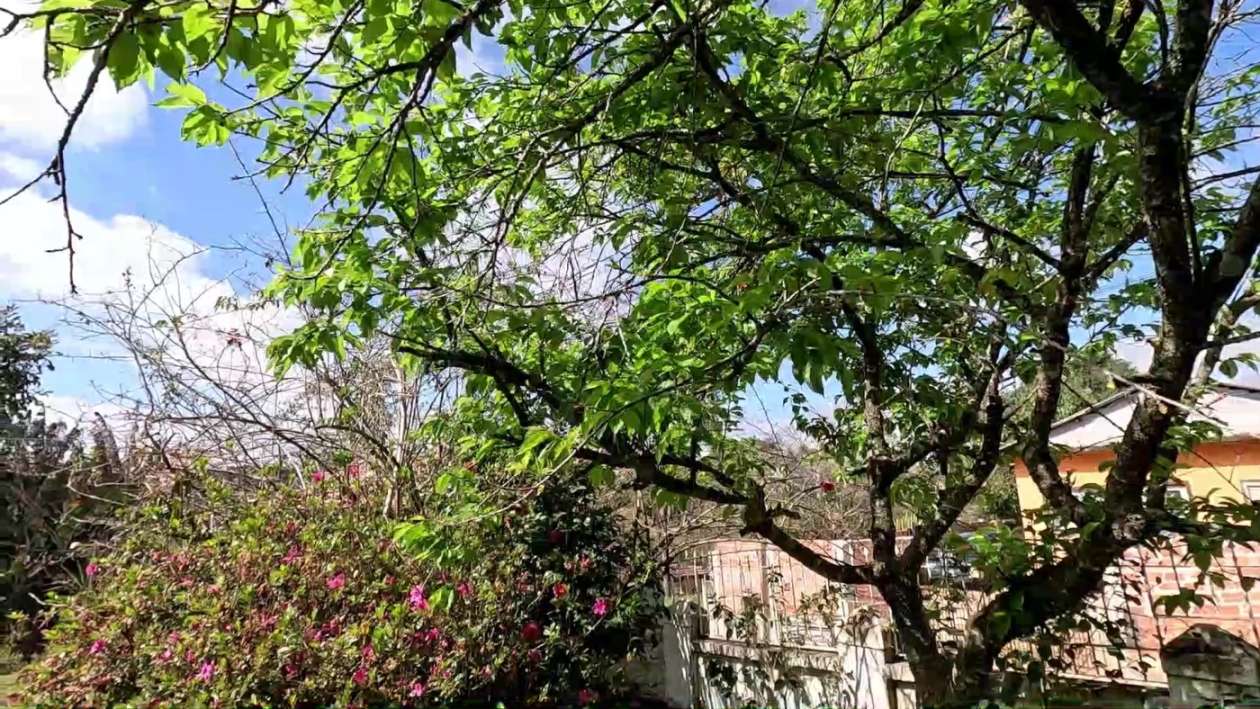 Chácara à venda com 3 quartos, 1000m² - Foto 7
