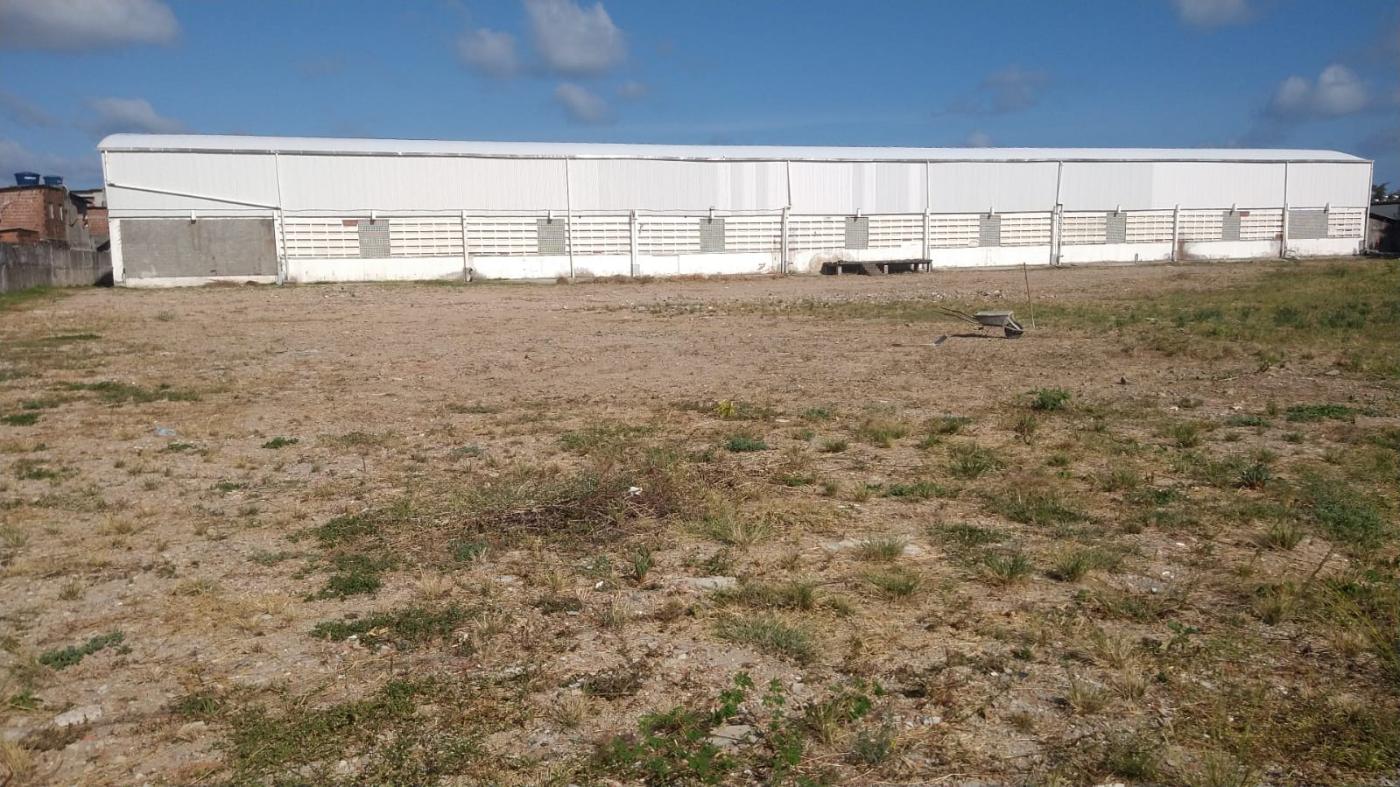 Depósito-Galpão-Armazém para alugar com 1 quarto, 2800m² - Foto 6