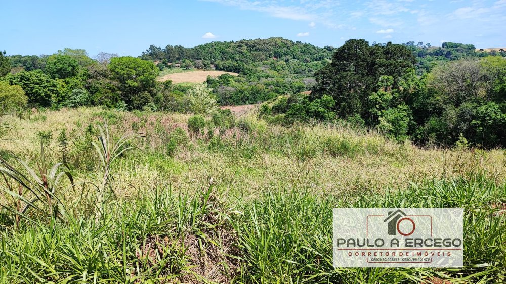 Fazenda à venda, 54000m² - Foto 8