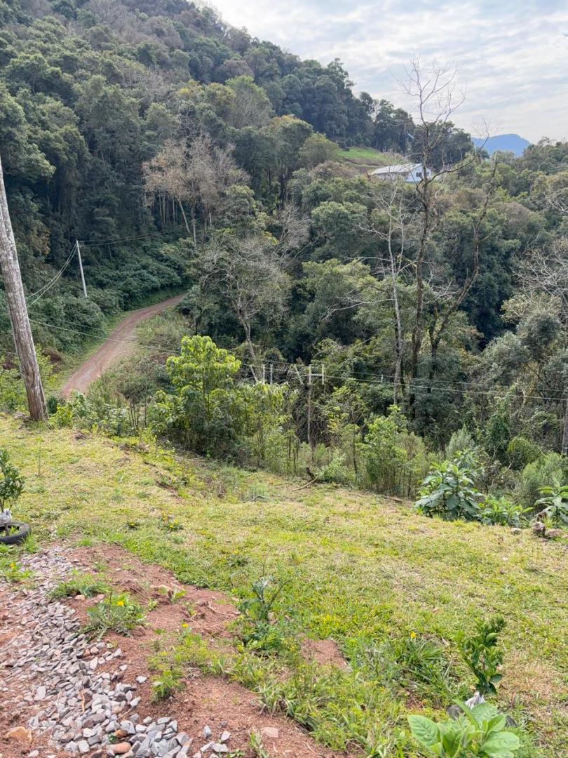 Chácara à venda, 30000m² - Foto 16