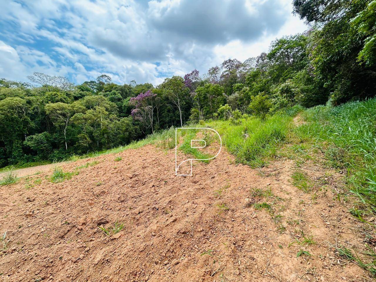 Terreno, 5 hectares - Foto 8