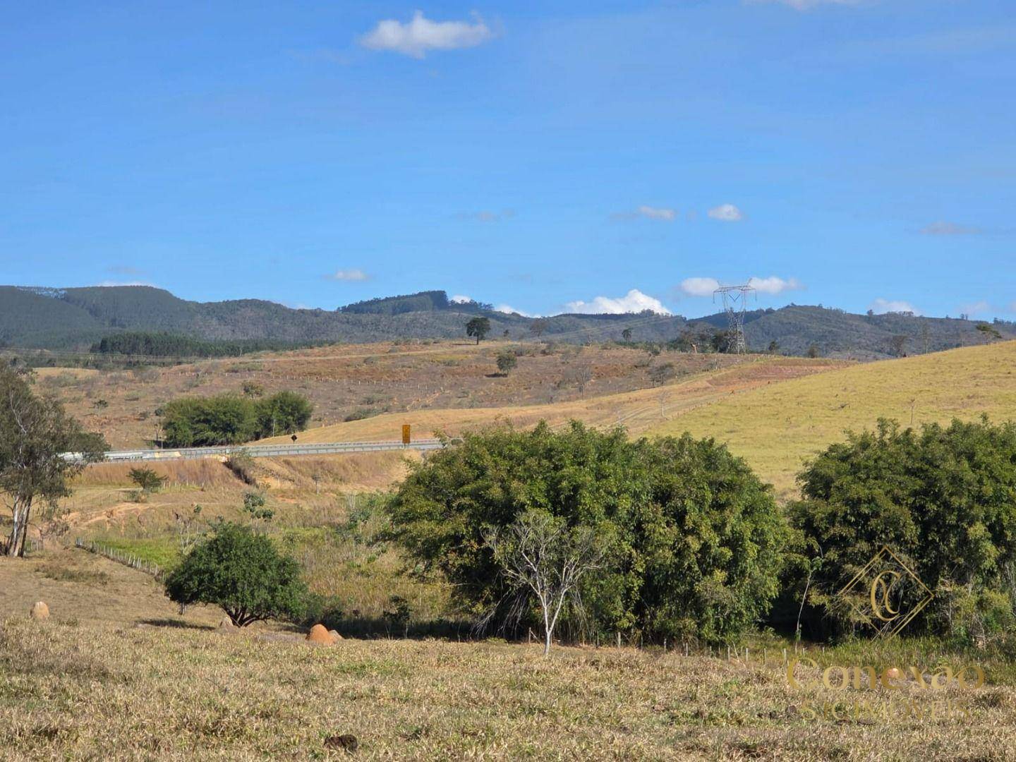 Fazenda, 145 hectares - Foto 4