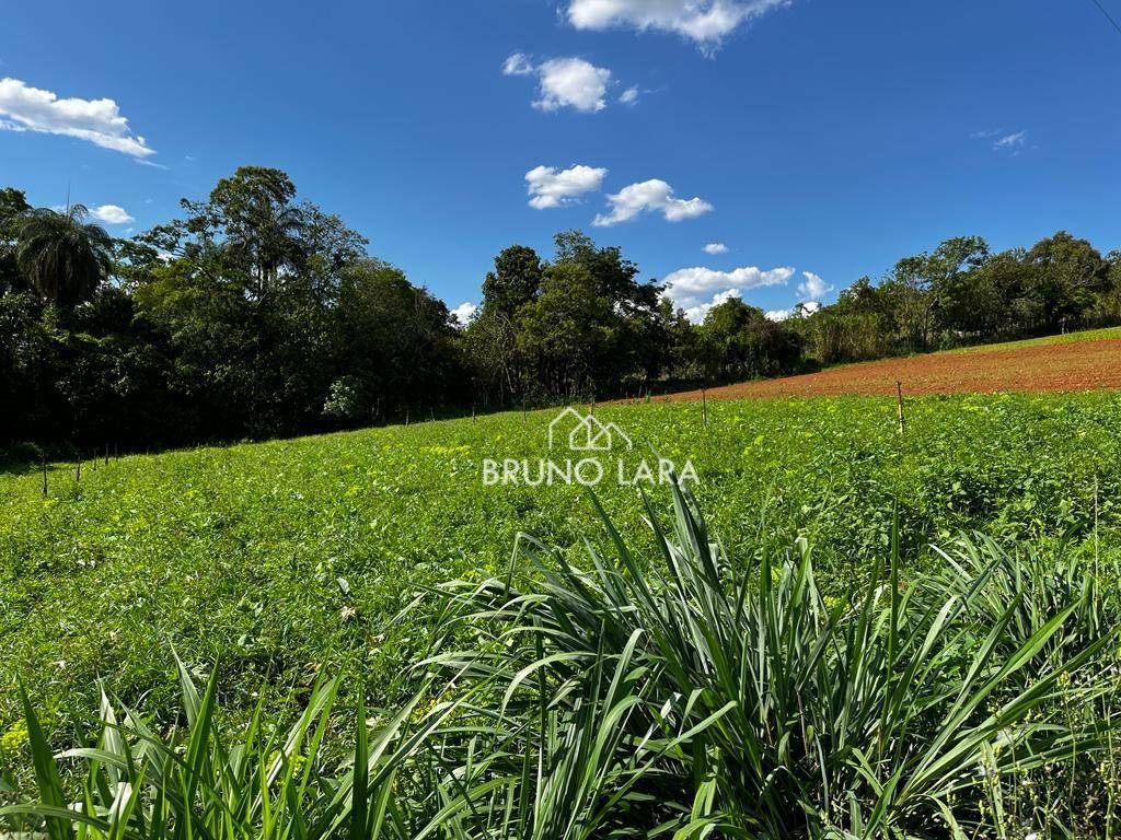 Terreno à venda, 40000M2 - Foto 7