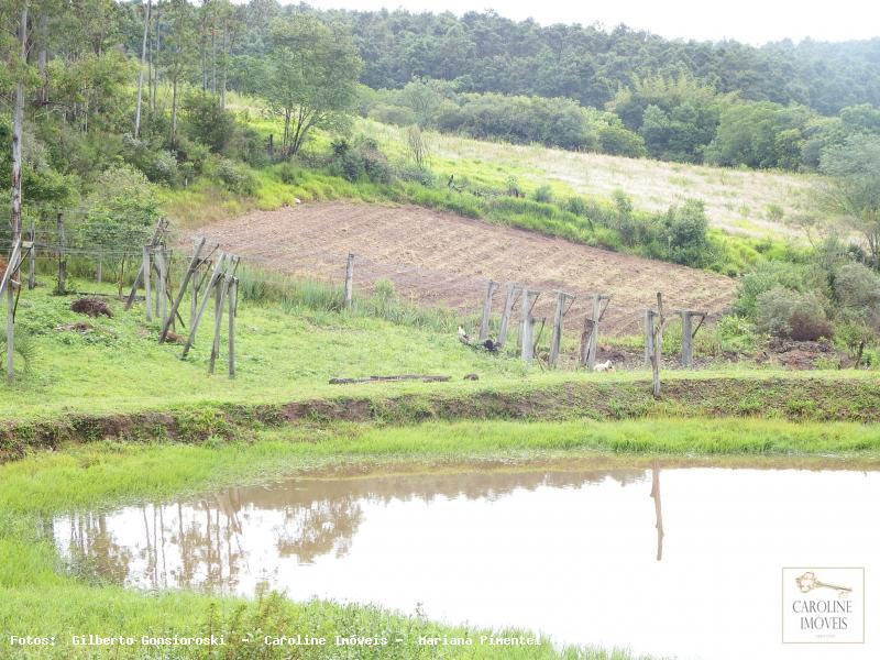 Fazenda à venda com 3 quartos, 60000m² - Foto 13