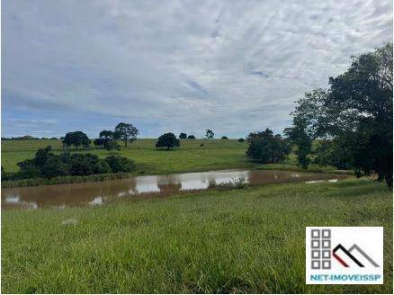 Fazenda à venda com 3 quartos, 220m² - Foto 13
