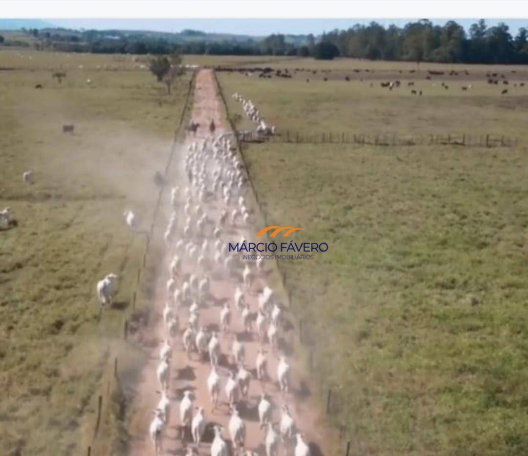 Fazenda à venda, 10841600M2 - Foto 10