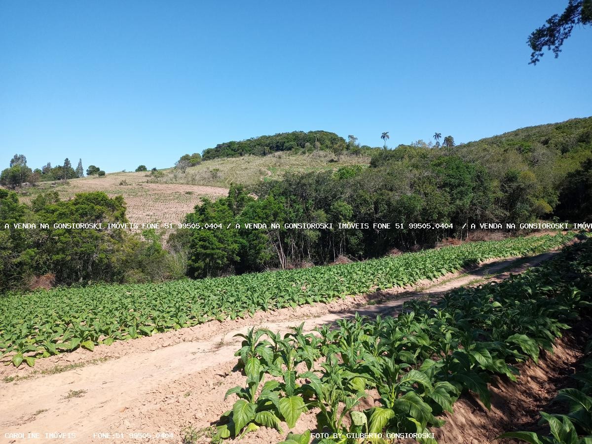 Loteamento e Condomínio à venda, 15500m² - Foto 12