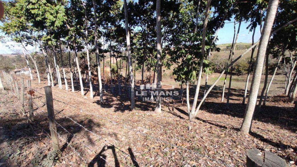 Sítio, 9 quartos, 2 hectares - Foto 64