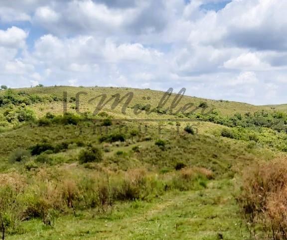 Fazenda à venda, 897m² - Foto 3