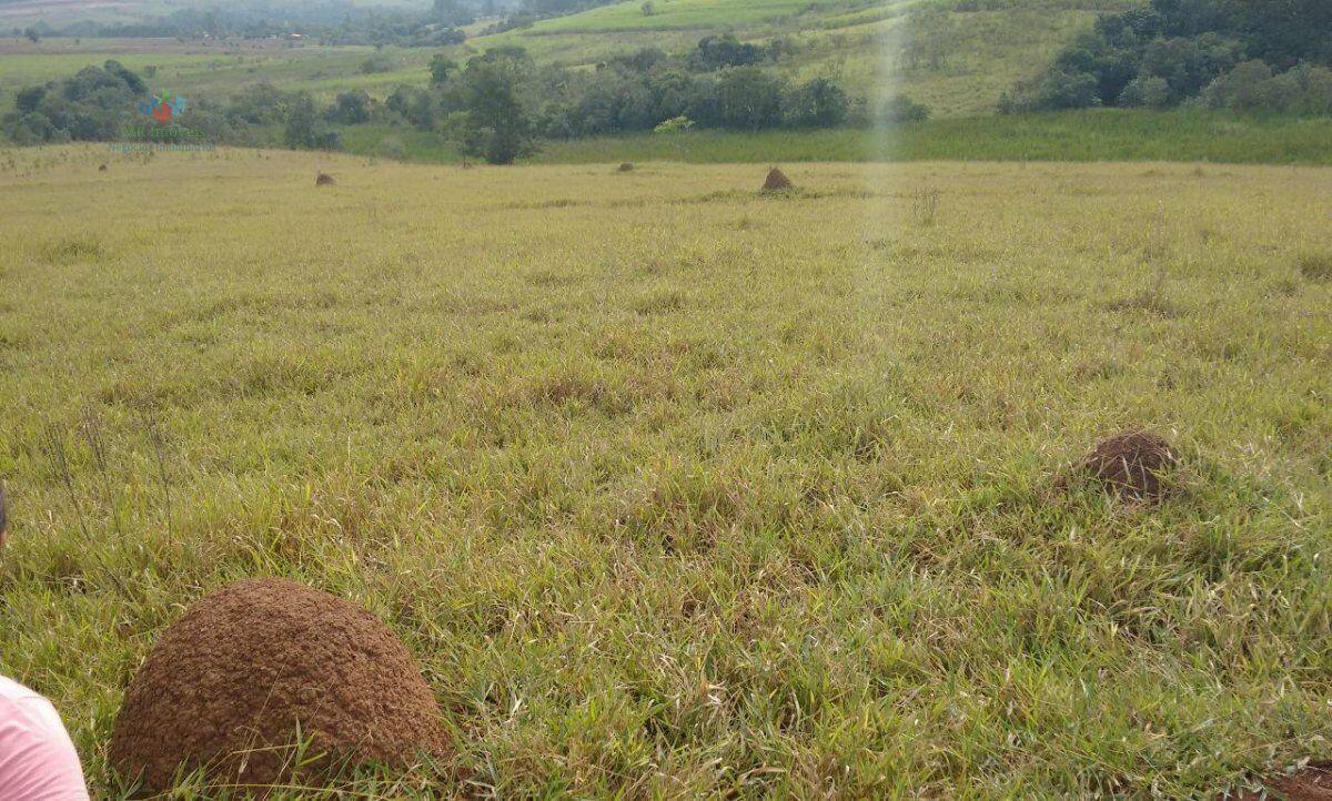 Fazenda à venda com 2 quartos, 1984400m² - Foto 17