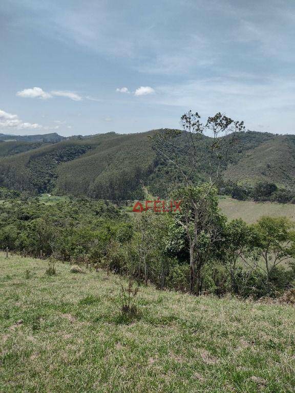 Fazenda-Sítio-Chácara, 140 hectares - Foto 4