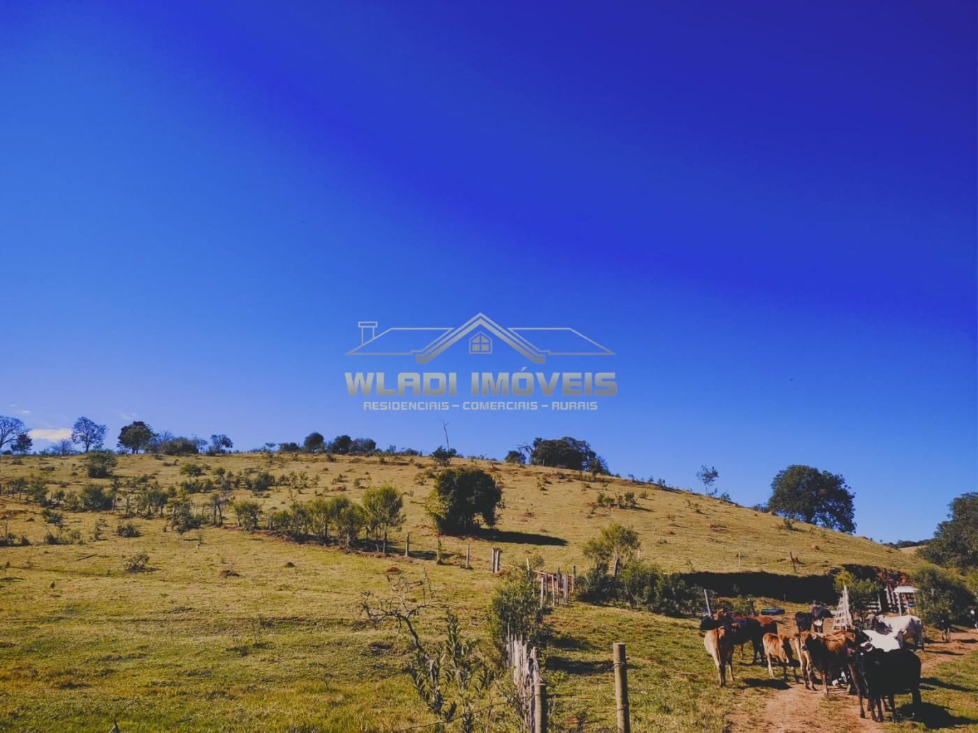 Terreno, 5 hectares - Foto 1