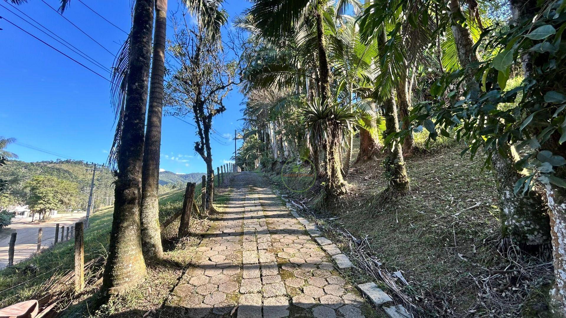 Sítio, 3 hectares - Foto 9